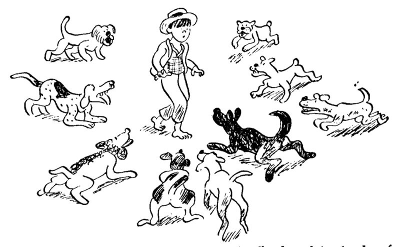 File:Hf 1936 tri ch032 ill1.jpg