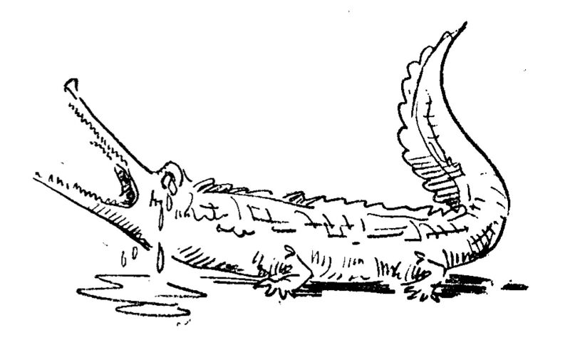 File:Hf 1940 bus ch024 ill2.jpg