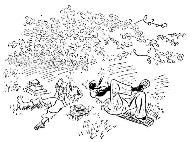 File:Hf 1936 tri ch014 ill1.jpg