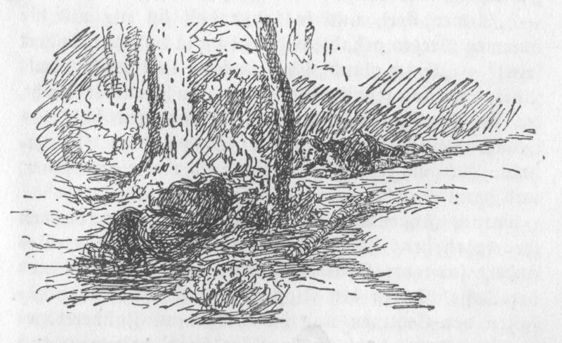 File:Hf 1920 hir ch008 ill2.jpg