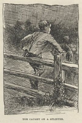 Tom caught on a Splinter